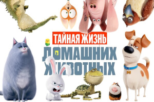 Тайная жизнь домашних животных