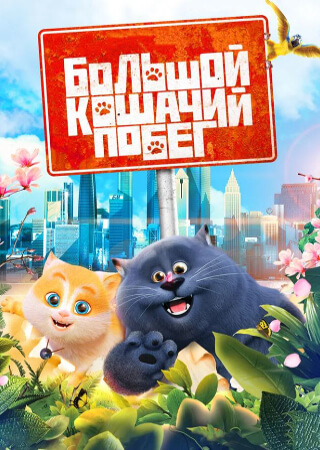 Большой кошачий побег